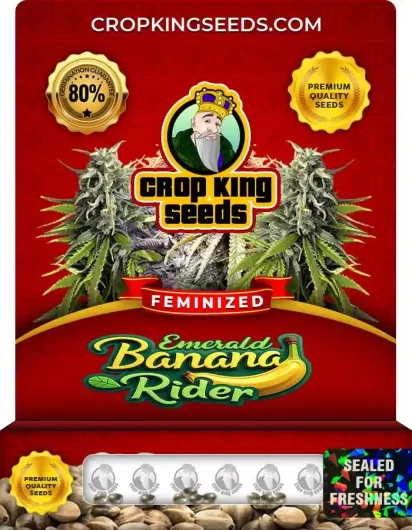 emerald-banana-rider-image