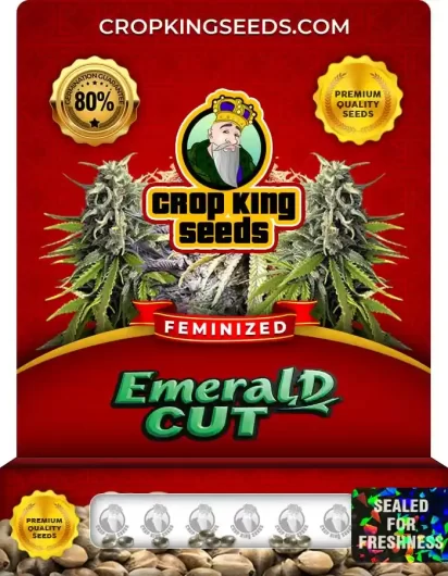 emerald-cut-image