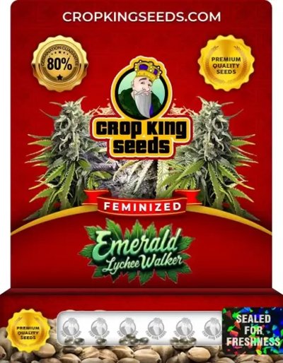 Emerald Lychee Walker