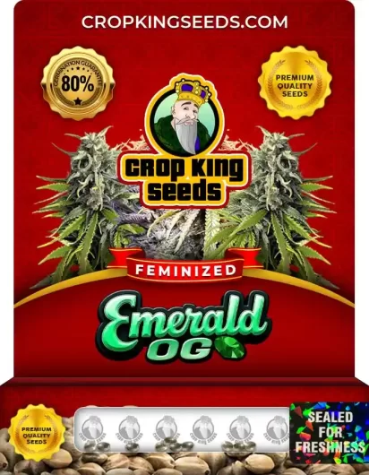 emerald-og-image