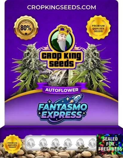 fantasmo-express-autoflower-image
