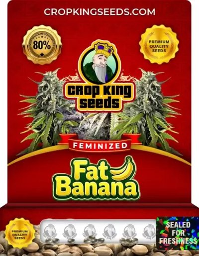 Fat Banana