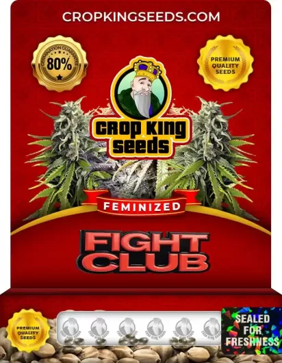 fight-club-image