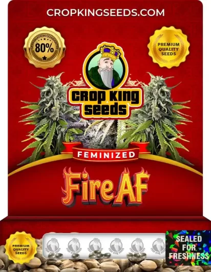 fire-af-image
