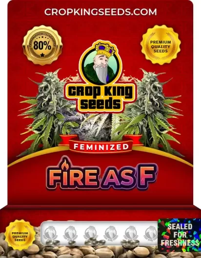 fire-as-f-image
