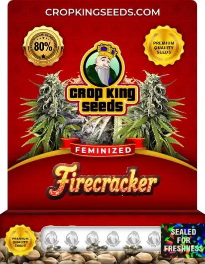firecracker-image