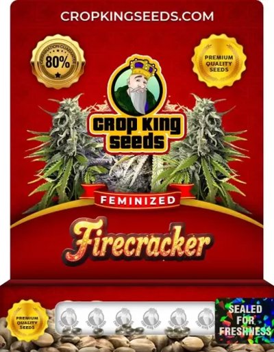 Firecracker