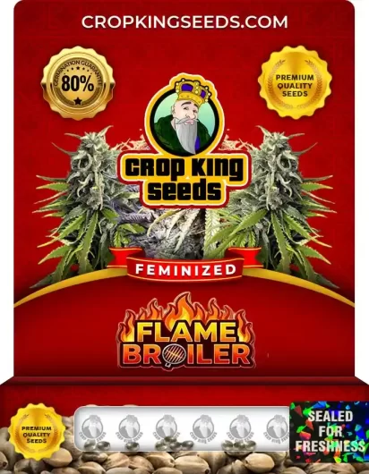 flame-broiler-image