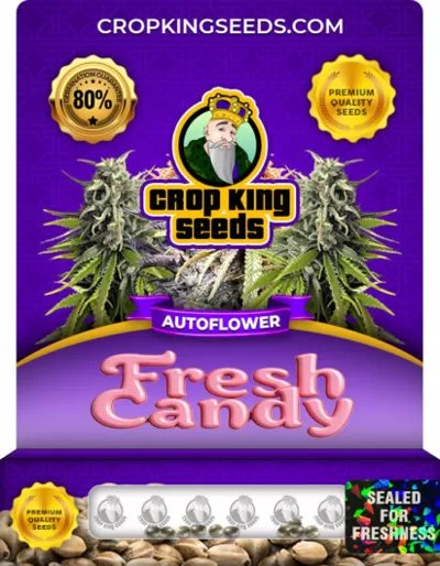 Fresh Candy Autoflower