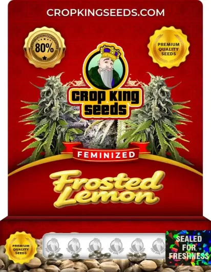 frosted-lemon-image