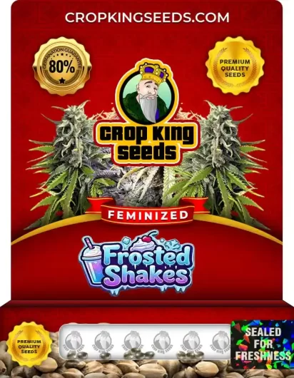 frosted-shakes-image