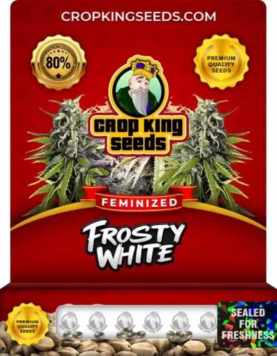 Frosty White