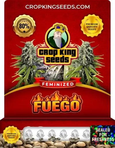 Fuego