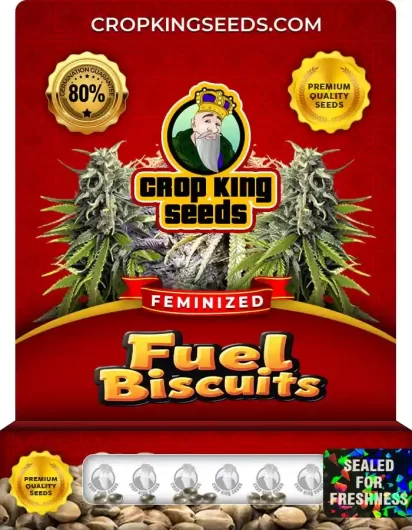 fuel-biscuits-image