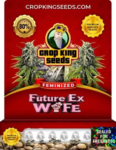 Future Ex Wife