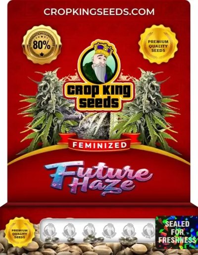 Future Haze