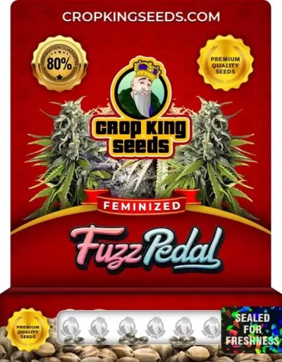 Fuzz Pedal