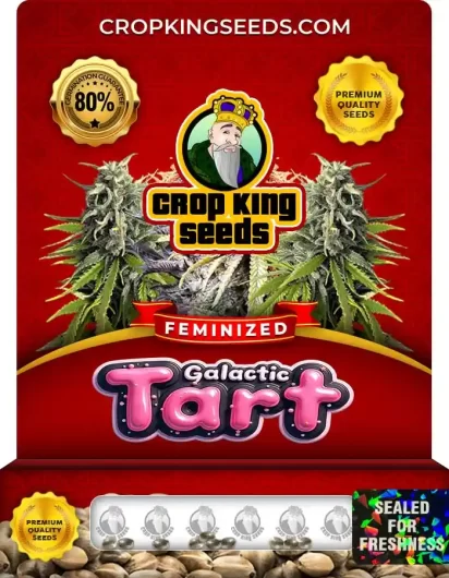 galactic-tart-image