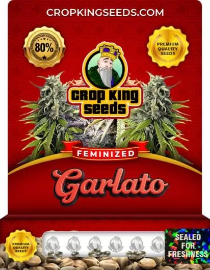 garlato-image