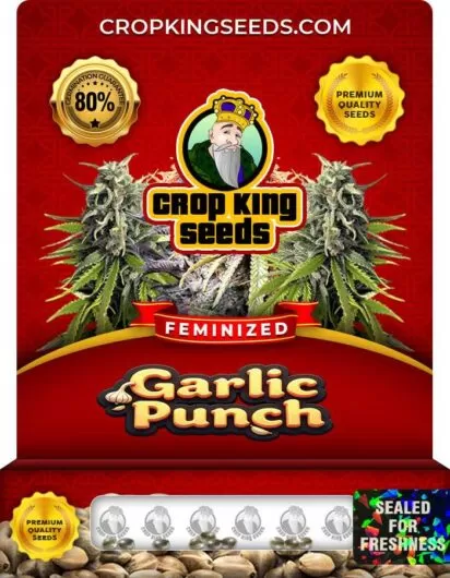 garlic-punch-image