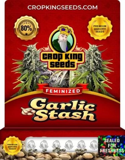 Garlic Stash