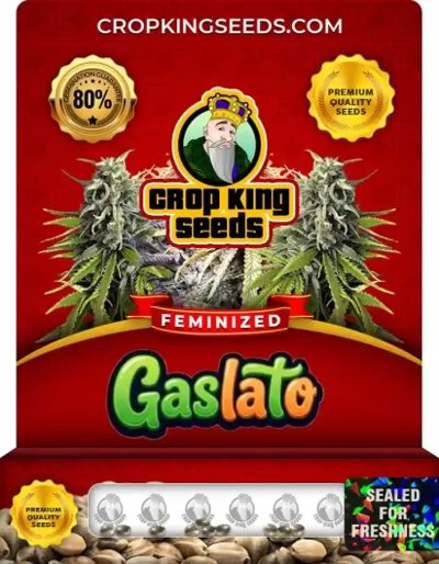 Gaslato