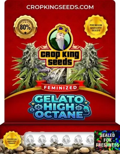Gelato High Octane