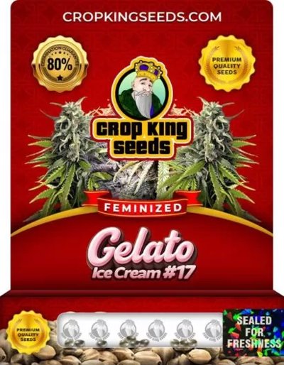 Gelato Ice Cream #17
