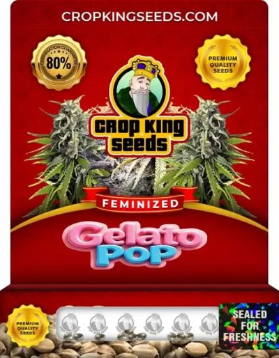 Gelato Pop
