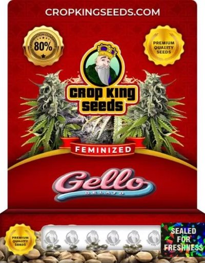 Gello Gelato