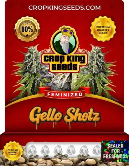 gello-shotz-hybrid-image