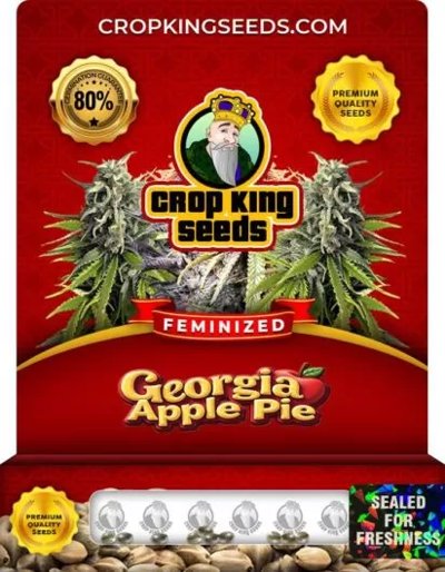 Georgia Apple Pie