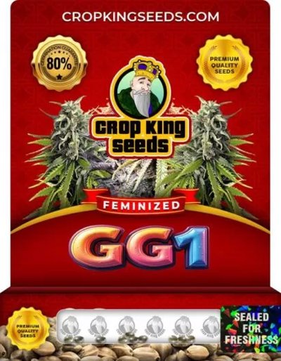 GG1