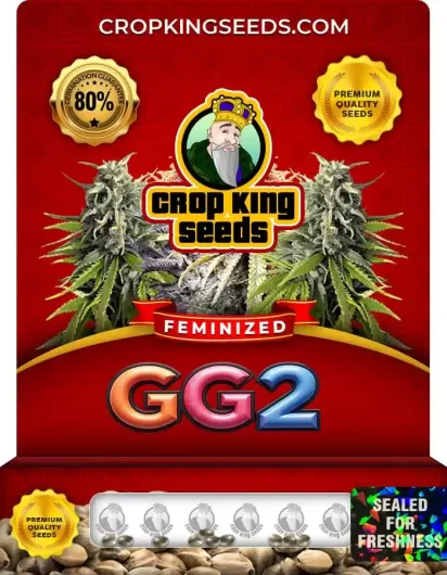 gg2-image