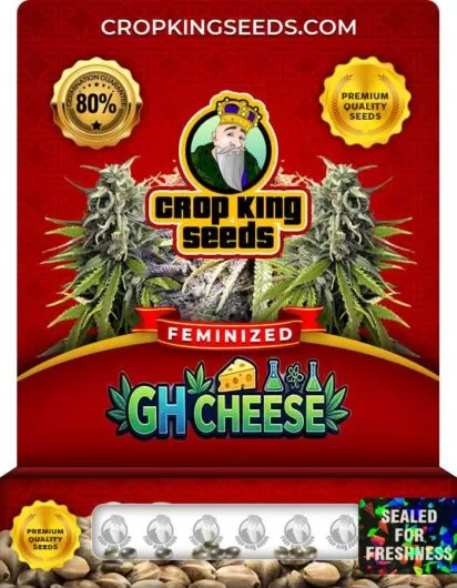 gh-cheese-image