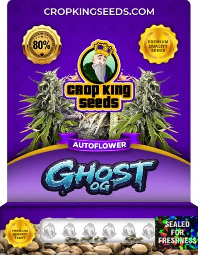 Ghost OG Autoflower