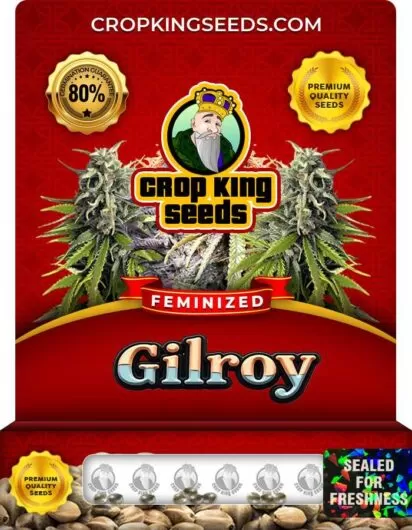 gilroy-image