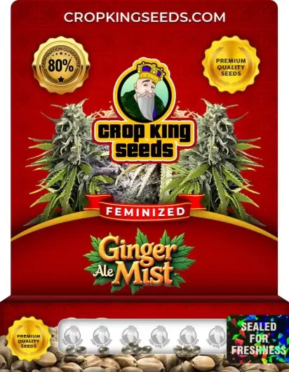 ginger-ale-mist-image