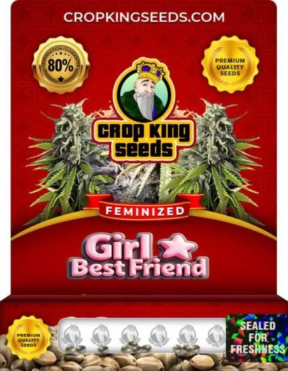 girl-best-friend-image