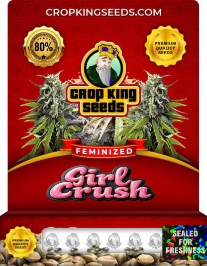girl-crush-image