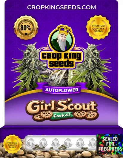 girl-scout-cookies-autoflower-image
