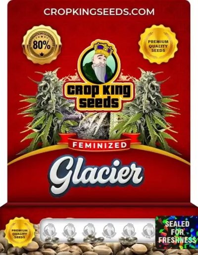 Glacier Indica