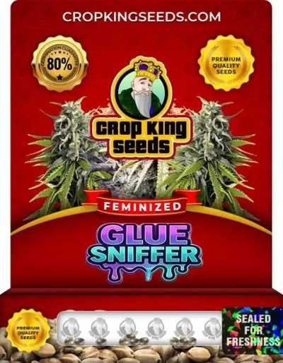 Glue Sniffer