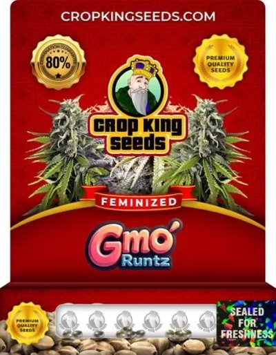 GMO Runtz