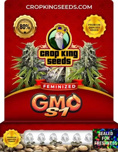 gmo-s1-image