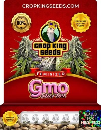 GMO Sherbet