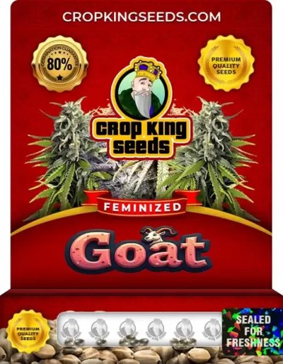 Goat
