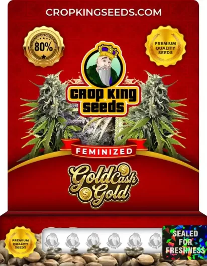 gold-cash-gold-image
