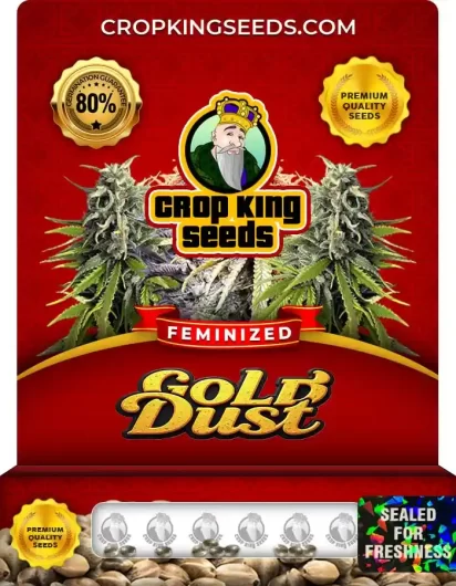 gold-dust-image