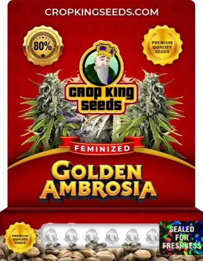 Golden Ambrosia